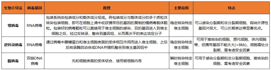 基因的编辑调控技术—转染，您了解多少？