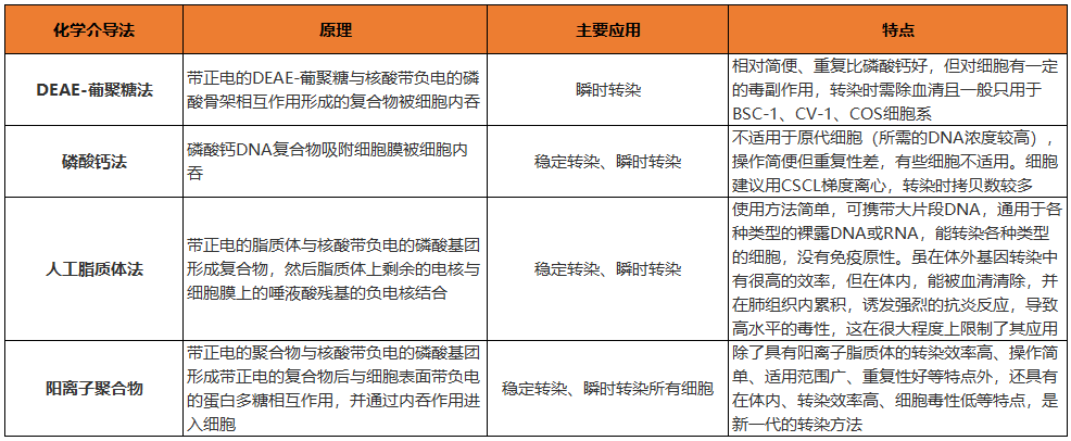 基因的编辑调控技术—转染，您了解多少？