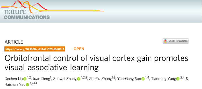 【文献解读】OFC投射V1神经环路促进视觉相关学习的神经机制