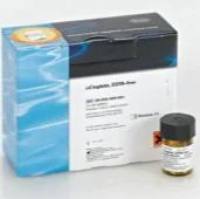 Roche罗氏 11873580001不含EDTA的cOmplete™蛋白酶抑制剂混合物