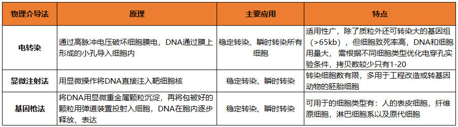 基因的编辑调控技术—转染，您了解多少？