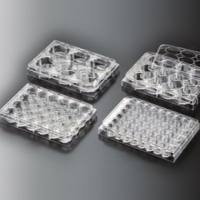 标准透明24孔细胞培养板