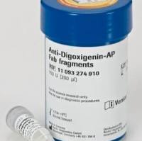 Roche罗氏 11093274910抗地gao辛-AP，Fab片段 Anti