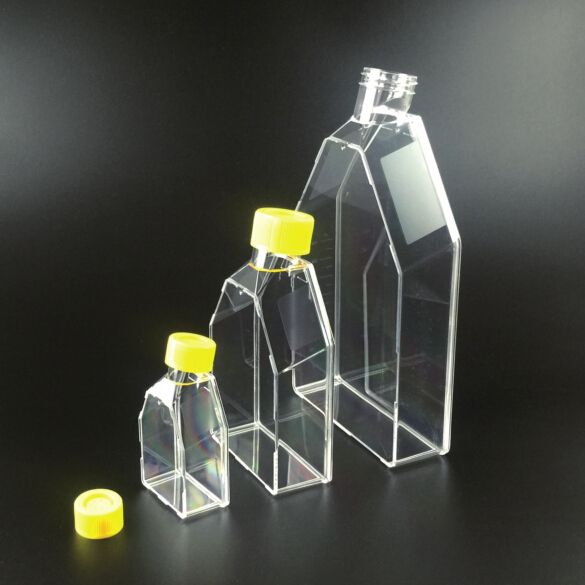75cm²细胞培养瓶（250ml，密封盖）