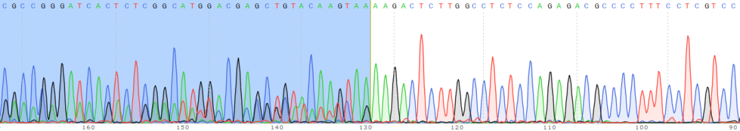 iPSC体外疾病模型研究平台上线啦！助力开启细胞与基因治疗新时代