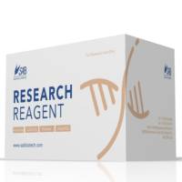 叶绿体蛋白提取试剂盒