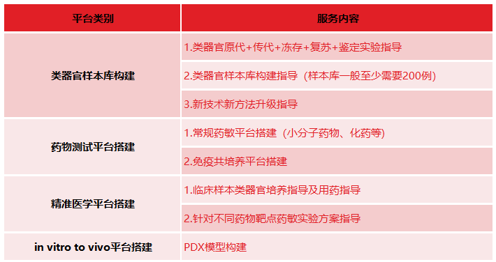 免疫共培养之——类器官