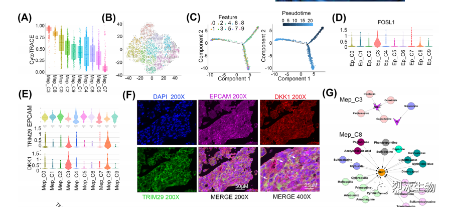 【烈冰助力】神经胶质瘤和肺癌脑转移的单细胞肿瘤微环境解析