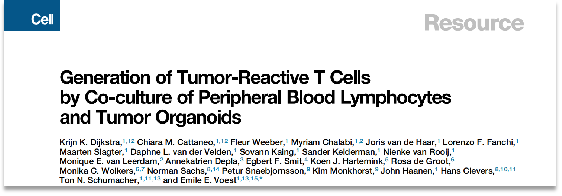 免疫共培养之——类器官