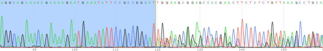 iPSC体外疾病模型研究平台上线啦！助力开启细胞与基因治疗新时代