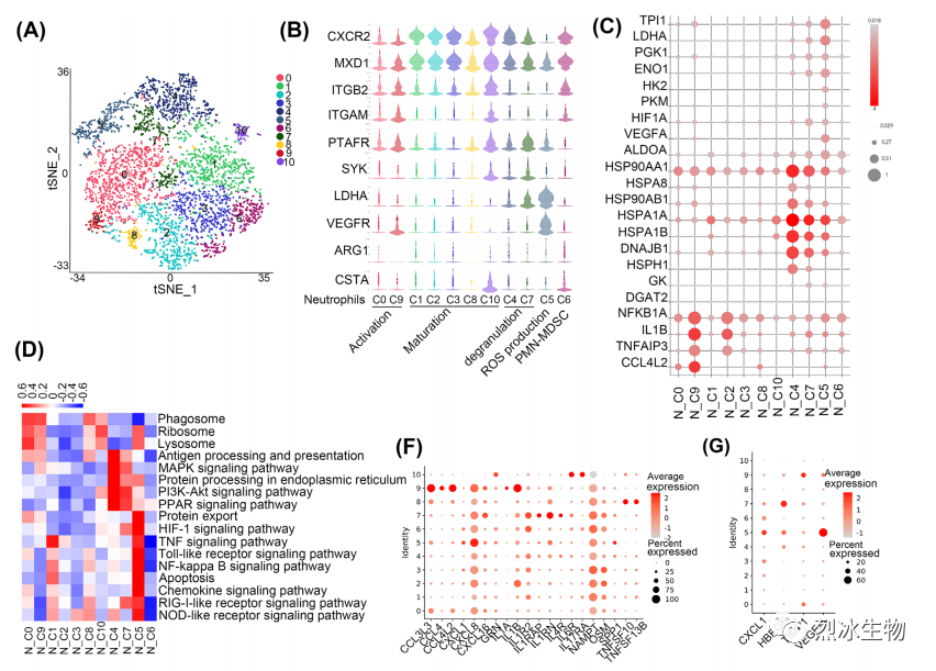 【烈冰助力】神经胶质瘤和肺癌脑转移的单细胞肿瘤微环境解析