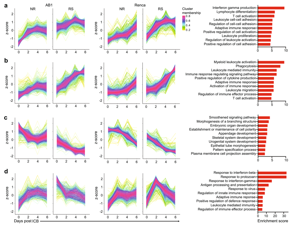 【文献解读】单细胞技术助力阐明免疫检查点阻断（ICB）机制