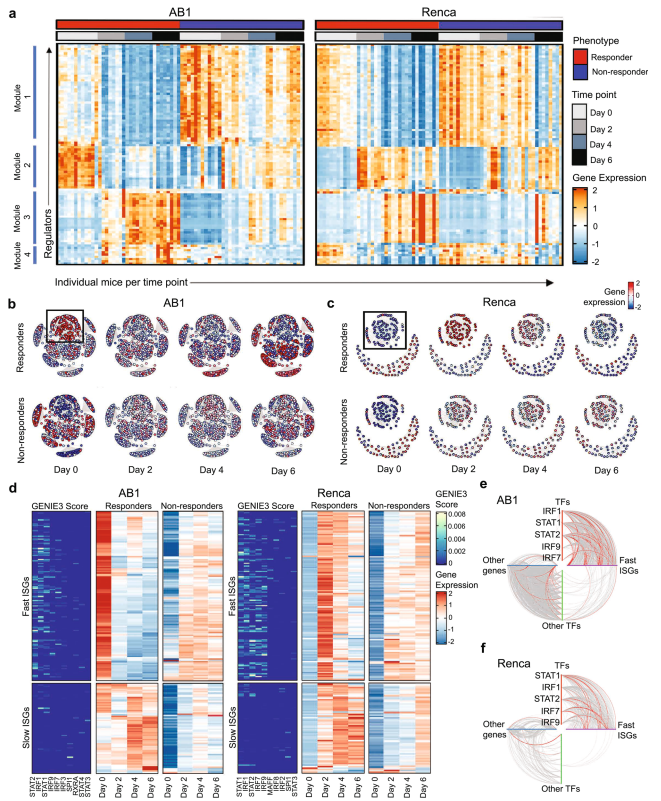 【文献解读】单细胞技术助力阐明免疫检查点阻断（ICB）机制