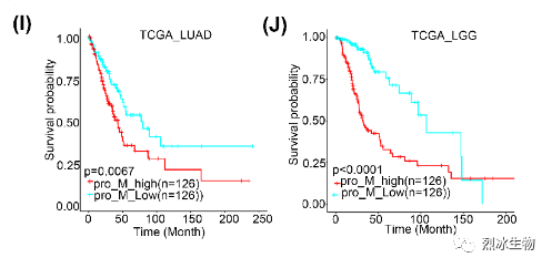 【烈冰助力】神经胶质瘤和肺癌脑转移的单细胞肿瘤微环境解析