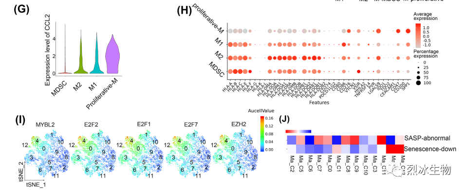 【烈冰助力】神经胶质瘤和肺癌脑转移的单细胞肿瘤微环境解析