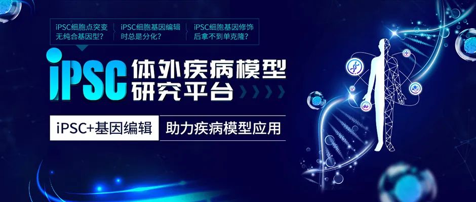 iPSC体外疾病模型研究平台上线啦！助力开启细胞与基因治疗新时代