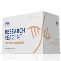 支原体去除试剂