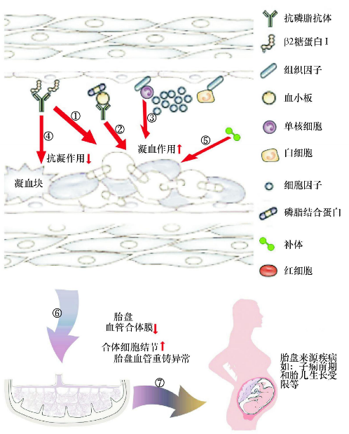 图片预览