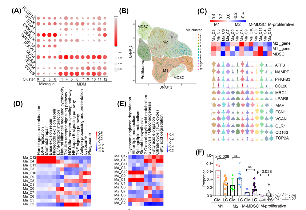 【烈冰助力】神经胶质瘤和肺癌脑转移的单细胞肿瘤微环境解析