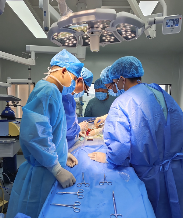 湘雅二医院再次创造国内异种原位全肝移植受体的生存记录