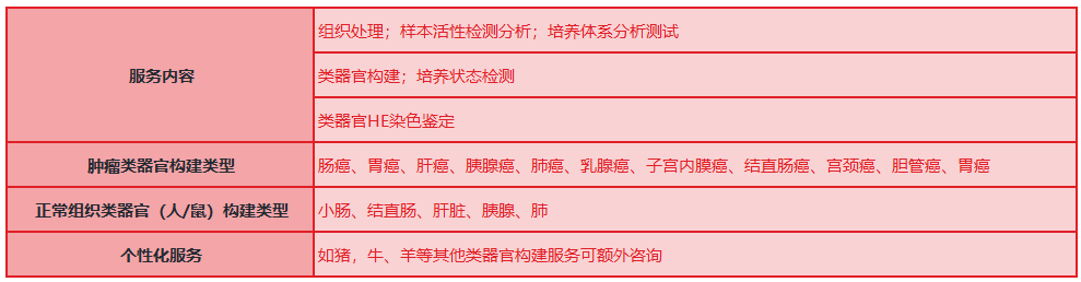 免疫共培养之——类器官