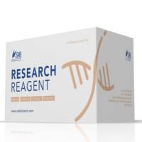 液体样本蛋白提取试剂盒