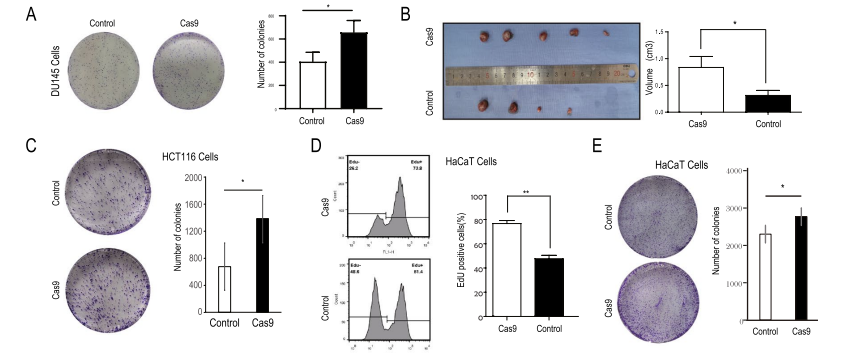 【IF=41.444】RNA-seq助力海军军医大学/上海九院团队构建更安全的基因编辑系统！