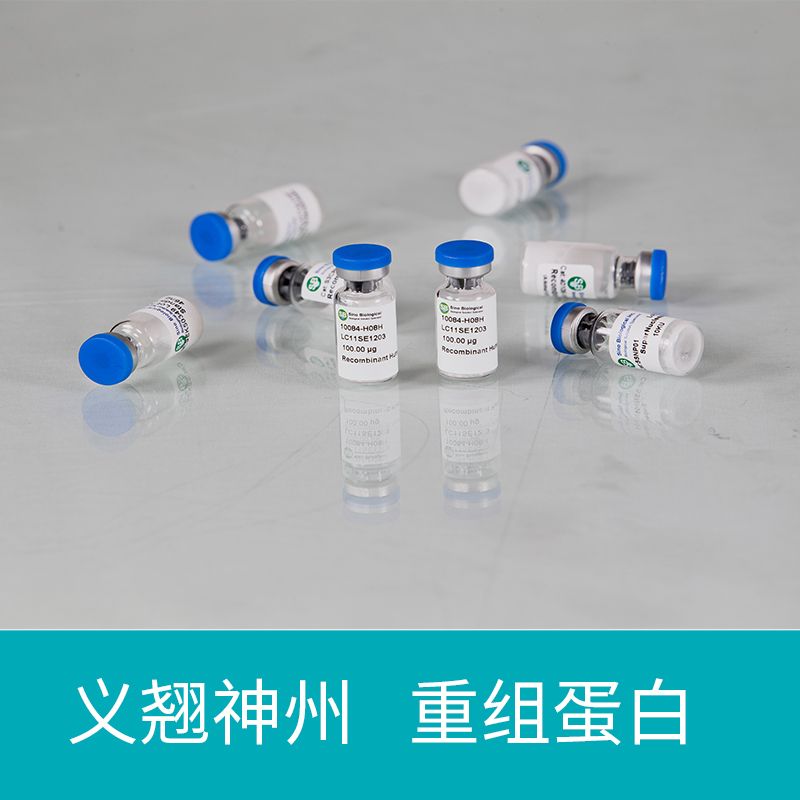 重组猴痘病毒 (MPXV) Envelope protein E8L 蛋白 (His 标签)