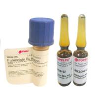 尿含铁血黄素定性检测试剂盒(Rous法)