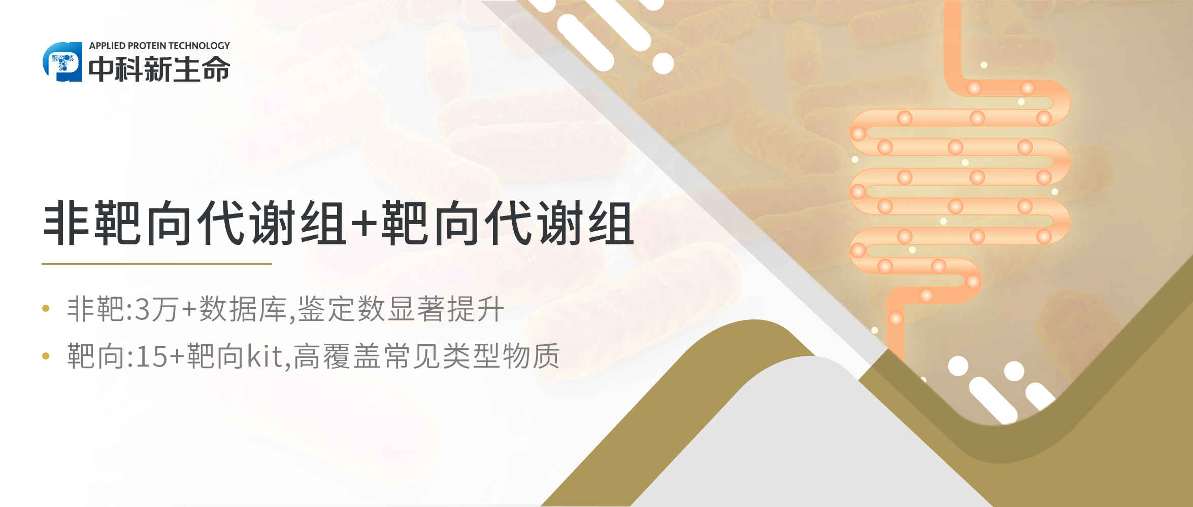 项目文章Cell Host Microbe（IF 31）| 齐鲁医院&山东省立医院利用多组学揭示肠道微生物群失调加重腹主动脉瘤