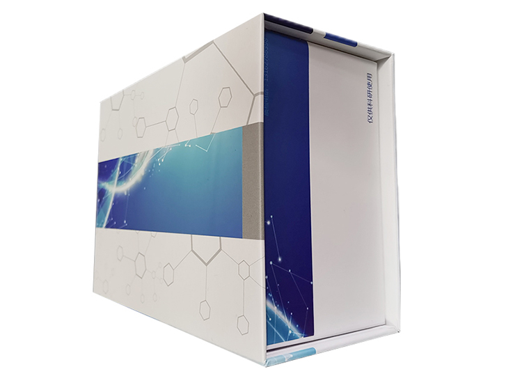 上海晶抗生物ELISA检测试剂盒，真情大回馈！