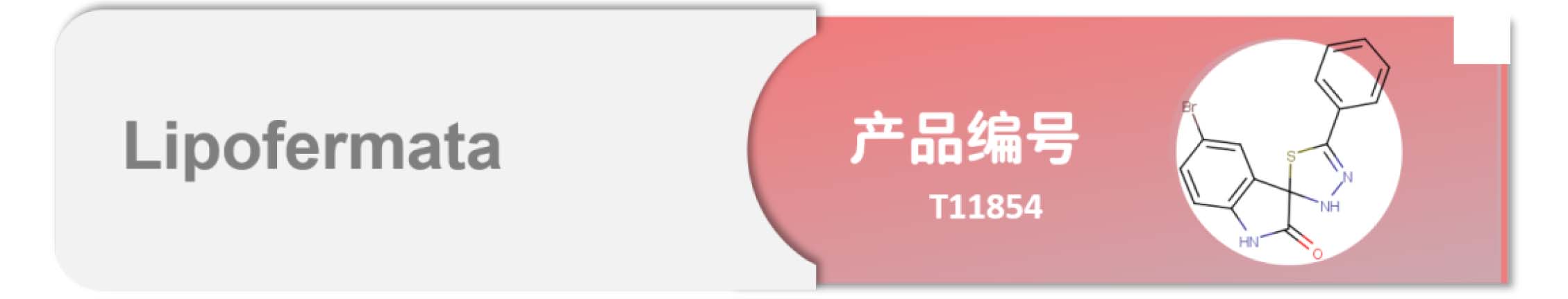 细胞永生？癌细胞长生不死之谜大揭秘