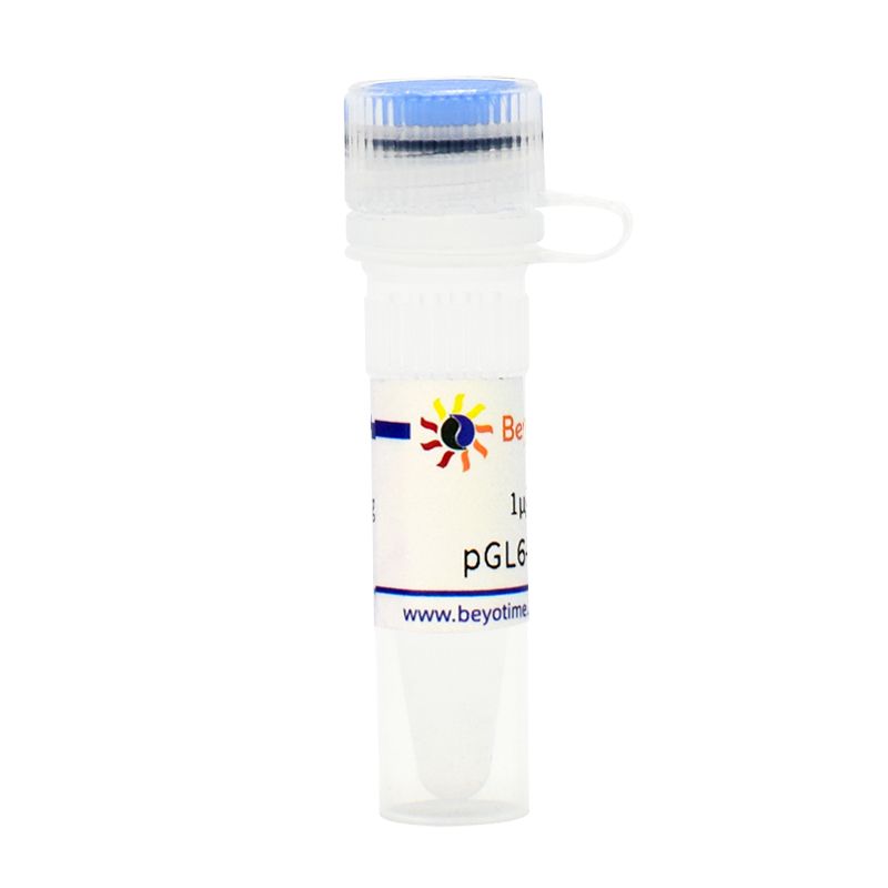 pGL6-TA-CP(超灵敏快速降解型报告基因质粒)