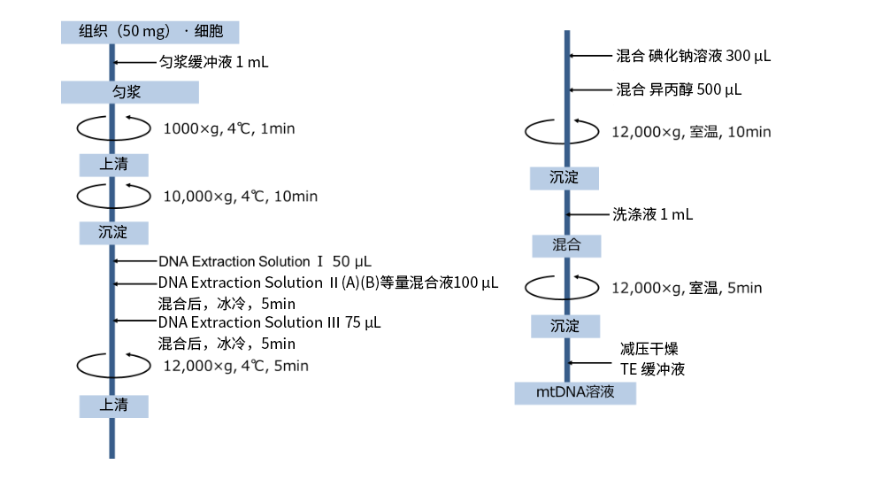 mtDNA Extractor® CT Kit  提取组织 