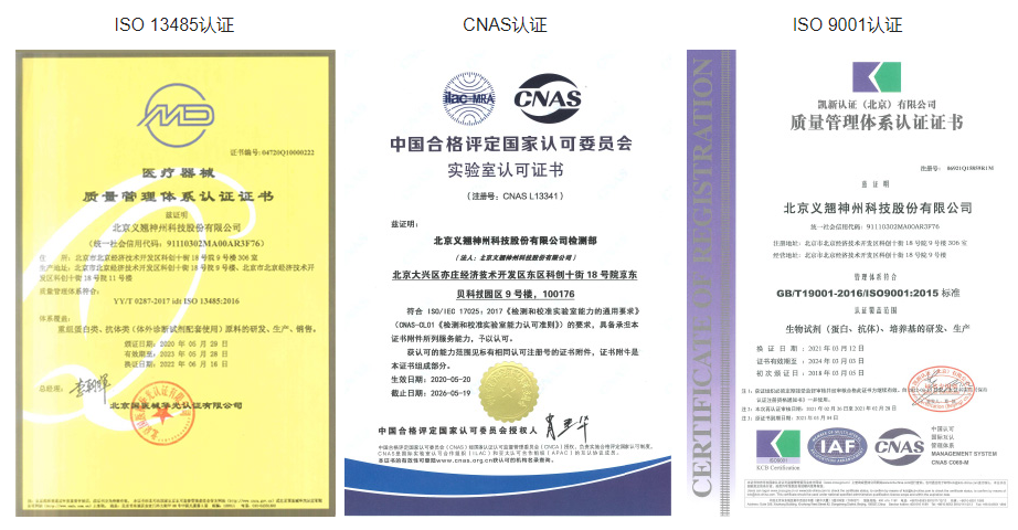综合性的CAR-T细胞疗法开发解决方案