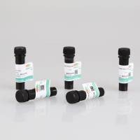 2 × 预混实时荧光定量快速PCR反应体系（低浓度ROX）