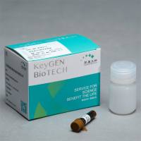 罗丹明123染色试剂盒