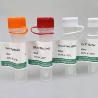 miRNA加尾法逆转录试剂盒