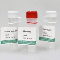 miRNA茎环法逆转录试剂盒