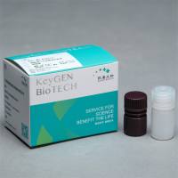 吖.啶橙AO染色试剂盒