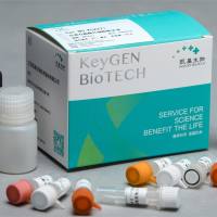 抗酒石酸酸性磷酸酶染液