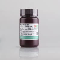 单组分TMB显色液（ELISA，HRP显色用）