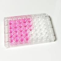 48孔超低吸附培养板