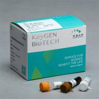 Realtime PCR Master Mix(SYBR Green)