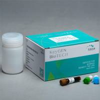 彗星电泳法检测细胞损伤试剂盒