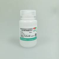 免疫印迹及免疫沉淀用裂解液（不含蛋白酶/磷酸酶抑制剂）