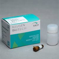 Hoechst33258染色试剂盒