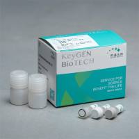 细胞凋亡DNA Ladder检测试剂盒