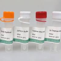 miRNA探针法逆转录试剂盒