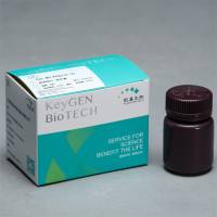 细胞核染料PI染色液(即用型)